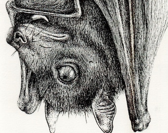 BAT-Ink Drawing Print