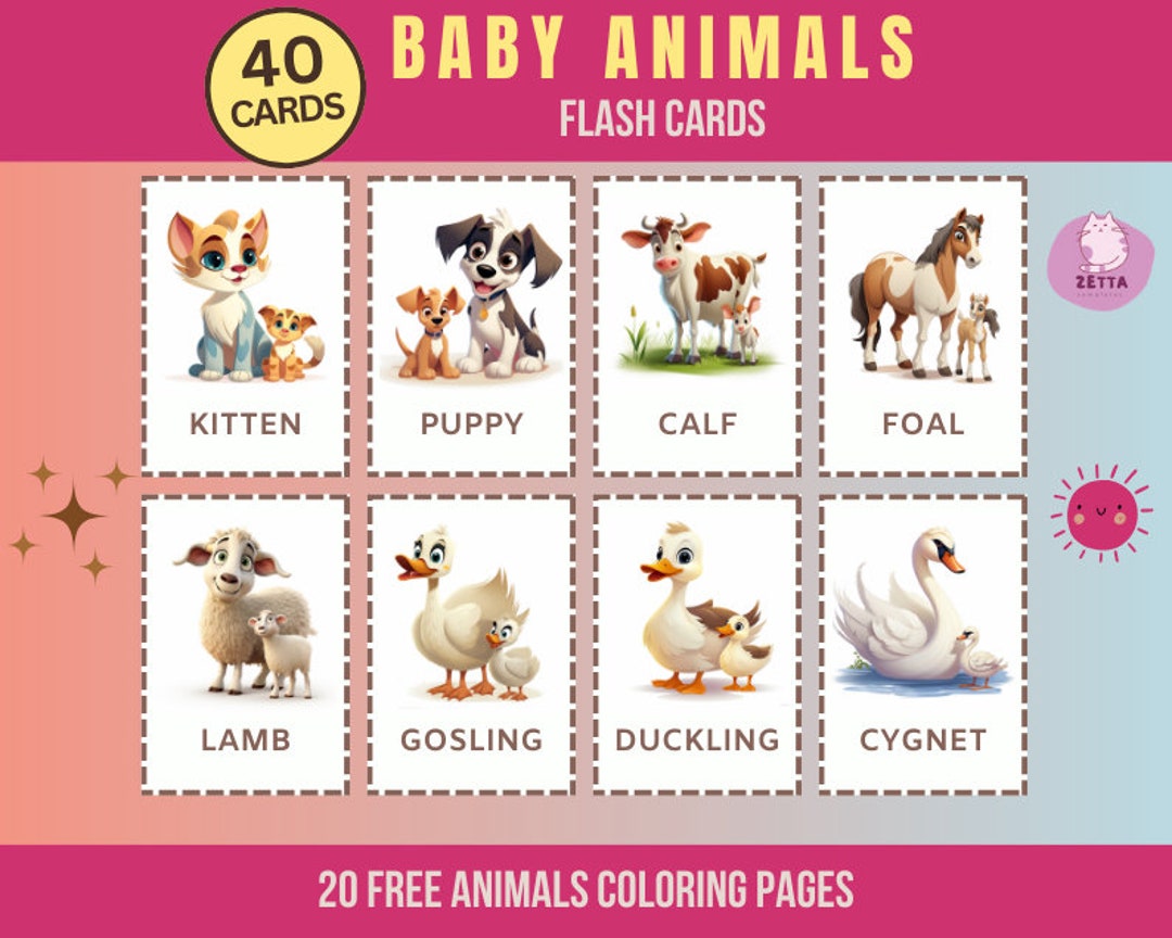 Baby Animal Flashcards Animal Printable Montessori Animals - Etsy France
