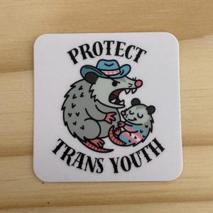 Protect trans youth sticker