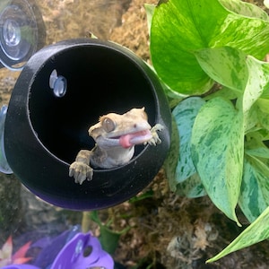 Arboreal Gecko Pod | Crested gecko hide | Reptile Cave | 3D Printed | Amphibian Accessory