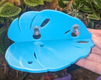 Monstera gekko-ligstoel | Kuifgekko | Reptiel | Gekko-voedselrichel | Boomhagedis | Reptielaccessoire | Plank boomkikker