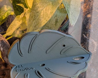 MAGNETISCHE Monstera Gecko-ligstoel | Kuifgekko | Reptiel | Gekko-voedselrichel | Boomhagedis | Reptielaccessoire | Plank boomkikker