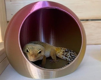 Leopard Gecko Pod | Gecko hide | Gecko cave | Fat Tailed Gecko
