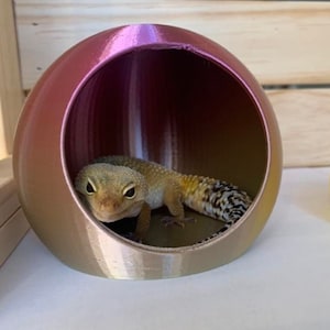 Leopard new arrivals gecko carrier