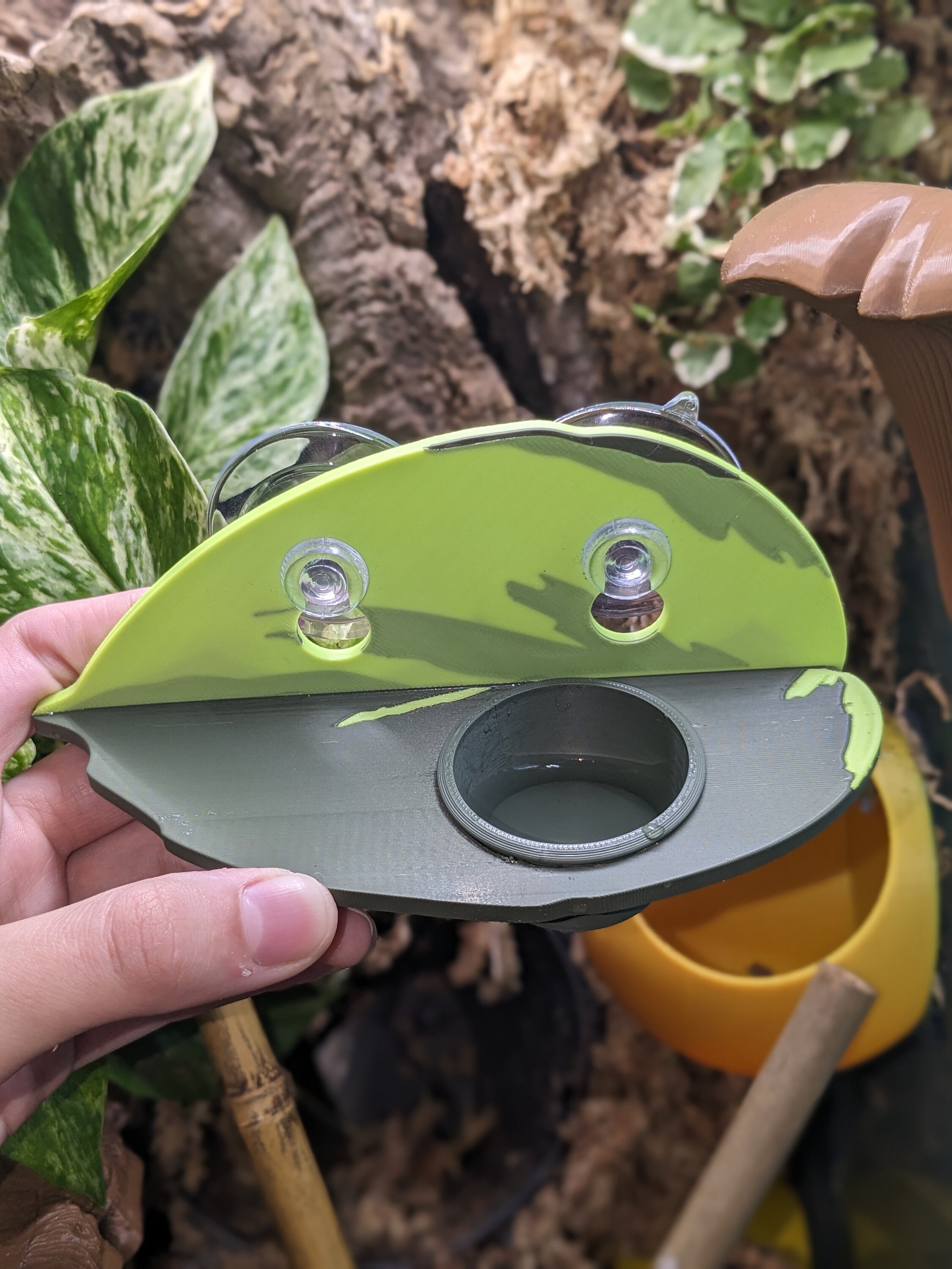 Philodendron Brasil-voederplank voor delibeker van 0,5 oz | Kuifgekko | Reptiel | Zuignapschaal | Voedselbank voor reptielen in bomen | Waterspuwer