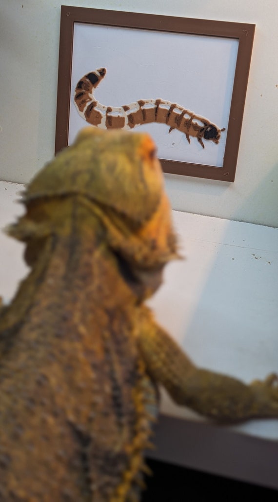 Superworm Painting Reptile Decor | Gecko Decor | Bearded Dragon Tank Accessory
