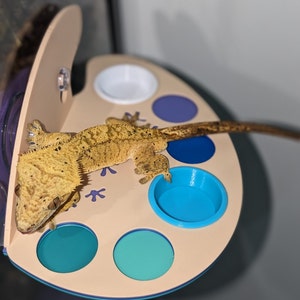 Paint Palette Feeding Ledge | Crested Gecko Food Holder | Arboreal Reptile Accessory | Gargoyle Gecko Shelf