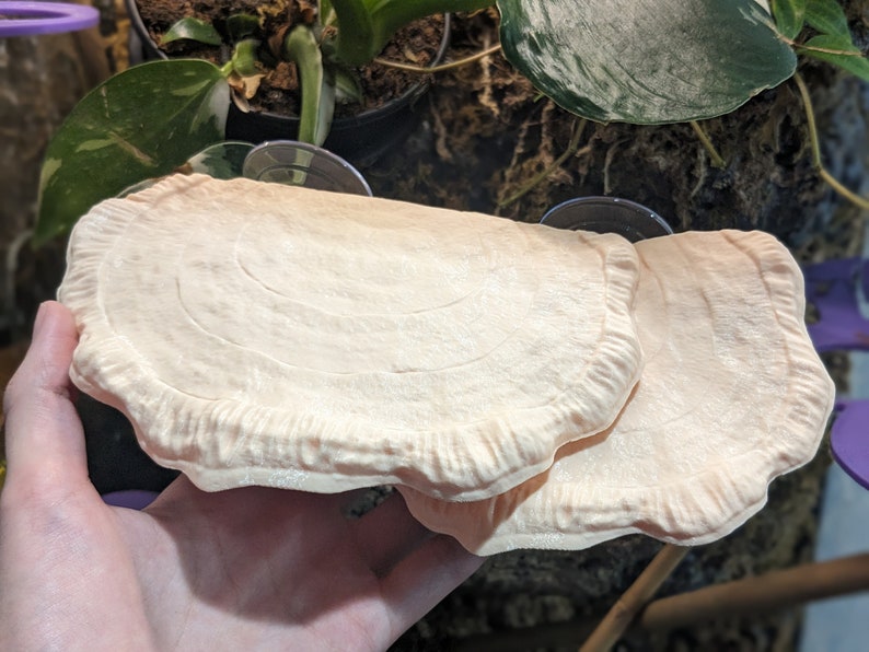 Op de afbeelding: Twee beige, ronde, getextureerde plantenhangers met een gegolfde rand. De hangers zijn gemaakt van een zacht, buigzaam materiaal en zijn ontworpen om aan een raam of muur te worden gehangen.