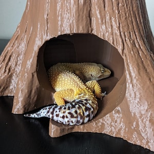 Peut inclure: Une cachette pour reptile en forme de souche d'arbre, imprimée en 3D, de couleur marron, avec un gecko léopard reposant à l'intérieur. Le gecko est jaune avec des taches noires et une queue rayée de blanc et de noir.