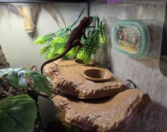 Wide Mushroom Gecko Ledge | Crestie Gargoyle Feeding Ledge | Suction Cup Reptile ledge | Cute Nature Inspired Arboreal Gecko Accessory