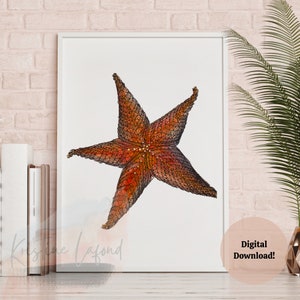 Starfish Underwater Beach Wall Decor Art Printable Animal Sea Nautical Nursery Living Room Kids Room Instant Download