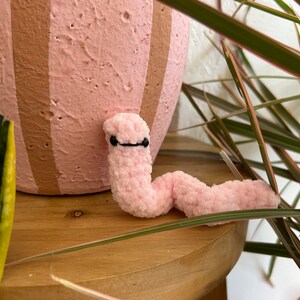 May include: A pink crocheted worm with black eyes, sitting on a wooden surface. The worm is curled into a C shape.