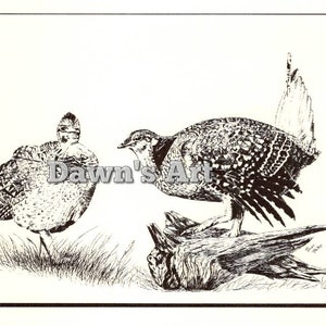 Peut inclure: Dessin à l'encre noire et blanche de deux oiseaux de la famille des tétras. Un oiseau est perché sur une souche d'arbre, tandis que l'autre est debout sur le sol. Le dessin est signé "Dawn's Art".