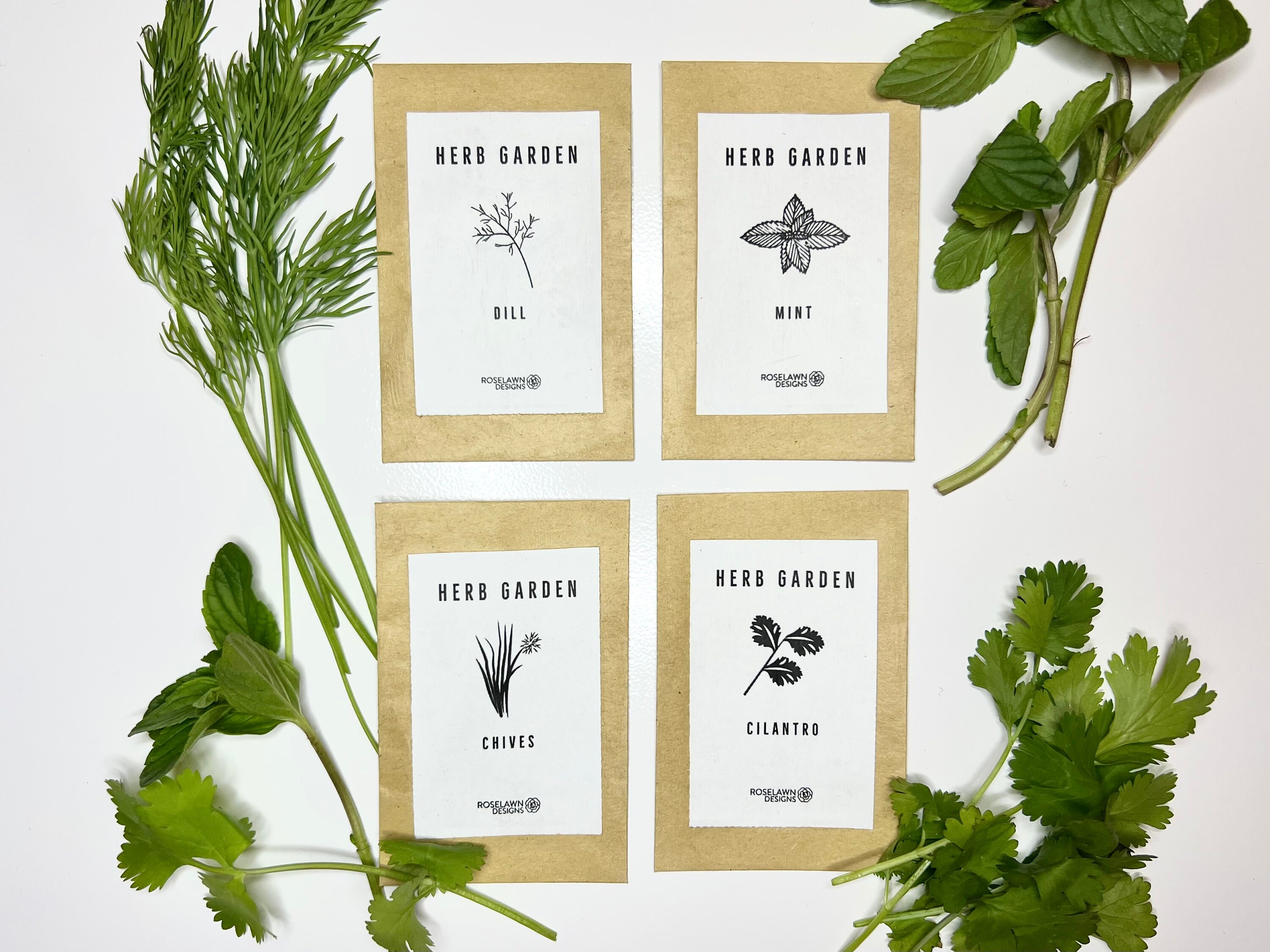 Herb Garden Seed Kit Kitchen Garden Window Garden Kit Etsy