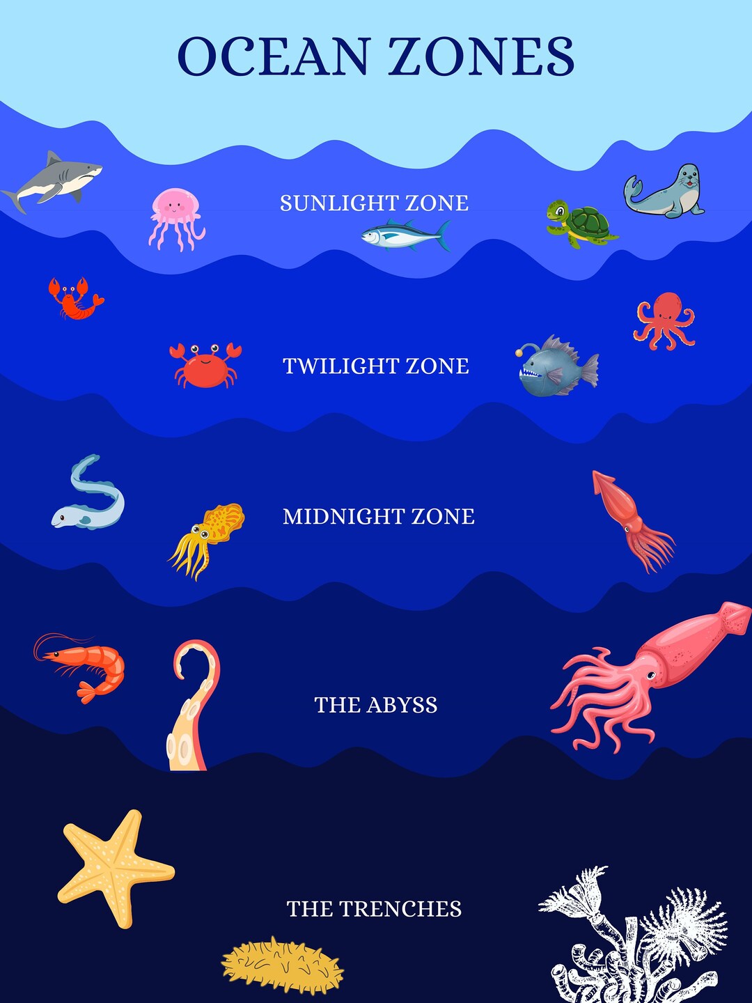 Ocean Zone Printable For Children And Homeschooling Marine Biology ocean-zone-printable-for-children-and-homeschooling-marine-biology