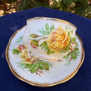May include: A porcelain teacup and saucer set featuring a cream-colored base with yellow rose illustrations, green foliage, and gold-trimmed scalloped edges. The floral pattern is displayed on both the cup and the matching saucer.