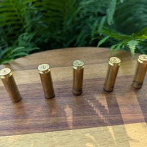 May include: Five empty brass metallic cartridge casings standing upright in a row. Each cylindrical casing features a circular primer at the top and a smooth, polished gold-toned surface, showing signs of light wear and metallic texture.