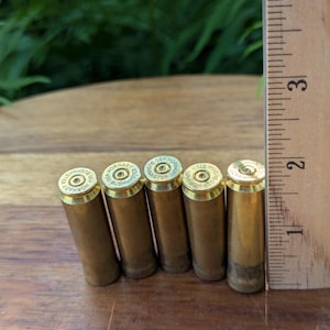 Bushmaster 450 Bullet magnet set guy gift refrigerator magnet Mancave Hunting outdoorsman Ammo shell casing magnet  gift deer hunter