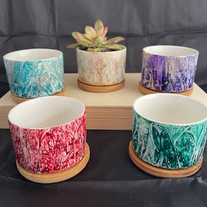 May include: Five ceramic planters with different patterns. The planters are in shades of blue, purple, green, and red. The planters are on a wooden surface.