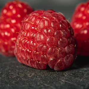 5 Red raspberry cuttings from live plants, Bundle of raspberry cuttings. Start your own berry orchard in your yard.