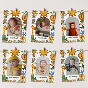 Editable Jungle Safari First Birthday Photo Banner Template - 12 Month Photo Banner - Boho Safari Animal - Digital Instant Download SB1 6001