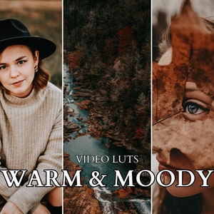 May include: A digital product display featuring three panels: a person in a black hat and beige sweater, a river flowing through a dark forest, and a close-up of an eye partially covered by a brown leaf. Text reads VIDEO LUTS WARM & MOODY.
