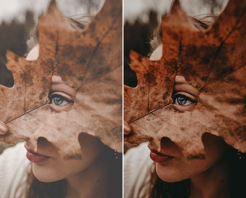 May include: A large, dried, brown maple leaf with a visible central vein and textured surface held in front of a face, partially obscuring the features while revealing one eye with a blue-grey iris and a portion of the lips with a reddish tint.