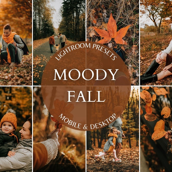 10 Lightroom Presets MOODY FALL Presets For Instagram Influencer Holiday Filter Family Autumn Blogger Rich And Moody Presets Moody Warm Tone