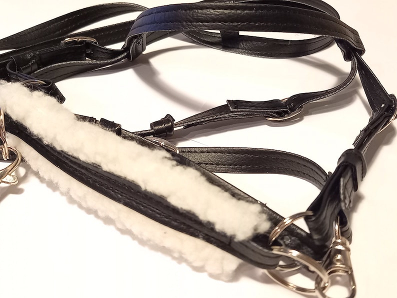 Puede incluir: Un cabestro de cuero negro para caballo con una muserola acolchada de piel sint&eacute;tica blanca. El cabestro incluye correas ajustables, hebillas de metal plateado y anillos circulares para una fijaci&oacute;n segura, con costuras resistentes.