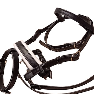 May include: A black leather horse bridle featuring adjustable straps with metal buckles and a padded noseband with a white lining. The bridle consists of multiple interconnected leather pieces designed for equine use, showcasing a textured finish.