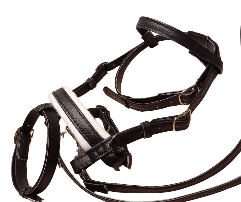 May include: A black leather horse bridle featuring adjustable straps with metal buckles and a padded noseband with a white lining. The bridle consists of multiple interconnected leather pieces designed for equine use, showcasing a textured finish.