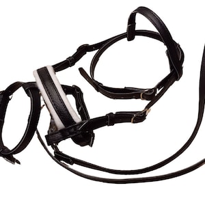 May include: A black leather horse bridle featuring multiple adjustable straps with metal buckles and a padded noseband with a white lining. The bridle includes a long rein strap and is designed with a series of interconnected loops and fasteners.