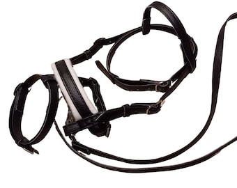 Dressage Bridle + Reins for Hobby Horse, Hobbyhorse Bridle with Flash Noseband and Padding, Removable Browband