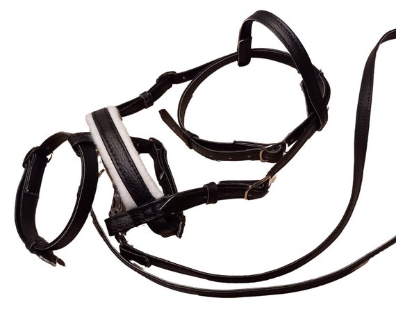 Dressage Bridle + Reins for Hobby Horse, Hobbyhorse Bridle with Flash Noseband and Padding, Removable Browband