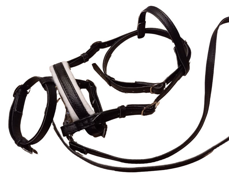 May include: A black leather horse bridle featuring multiple adjustable straps with metal buckles and a padded noseband with a white lining. The bridle includes a long rein strap and is designed with a series of interconnected loops and fasteners.