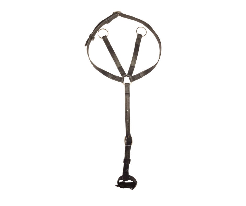 German Martingale for sale| 100 ads for used German Martingales