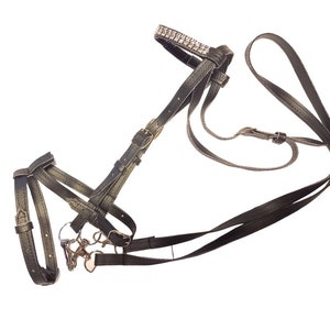 Könnte beinhalten: Ein dunkelbraunes Pferdehalfter aus Leder mit verstellbaren Schnallen, einem metallenen Führstrickanschluss und einem Stirnriemen, der mit einer Reihe funkelnder, klarer Kristalle besetzt ist. Das Halfter enthält einen herzförmigen Metallanhänger.