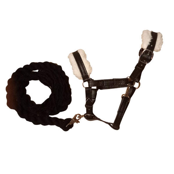 Licol en cuir noir avec corde de laisse noire pour cheval de loisir, licou de cheval de loisir avec rembourrage, sellerie de cheval de loisir