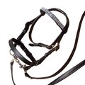 Snaffle Bridle + Reins for Hobby Horse, Basic Single Bridle for Hobbyhorse, Removable Browband, Hobby Horse Tack product logo