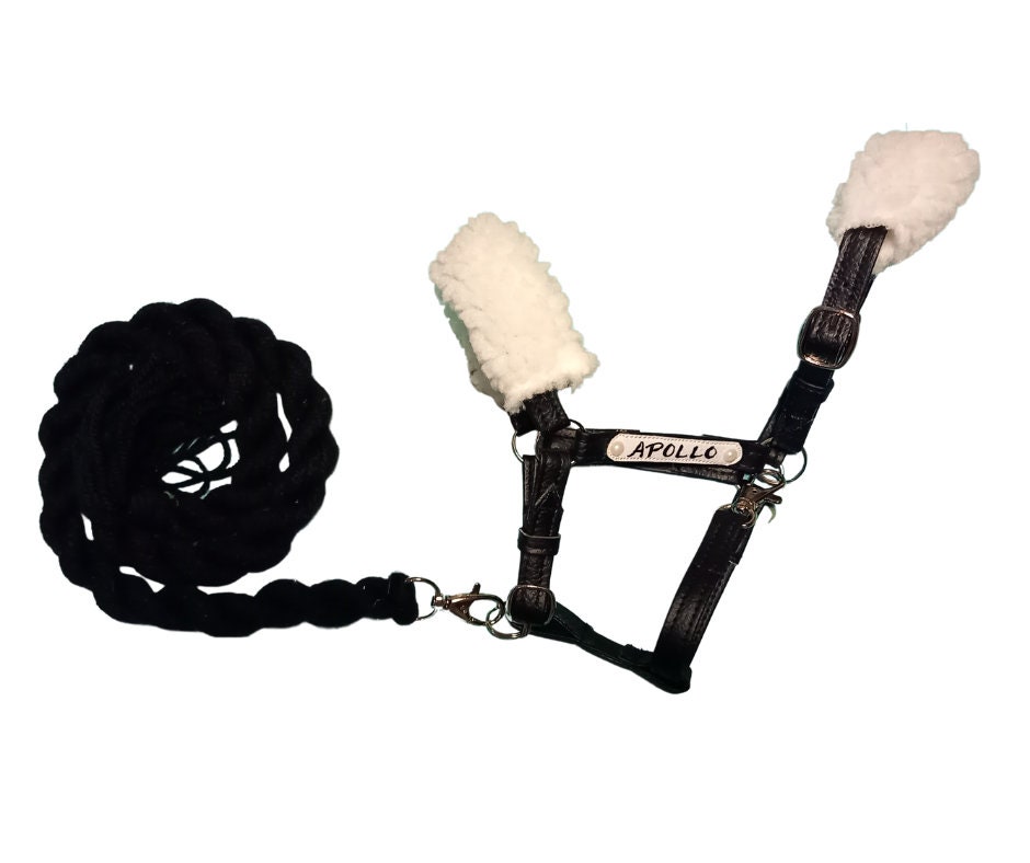 Black Leather Halter With Black Lead Rope for Hobby Horse