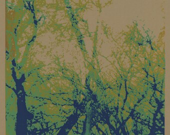 Bare Tree Branches in Winter Semi Abstract Photo Silkscreen Print Unique Art on Paper