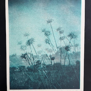 Impresión artística de litografía original hecha a mano de Thistles, fotografía de paisaje abstracto
