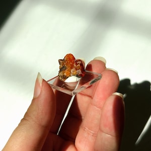 Red Cloud Wulfenite Mineral Specimen