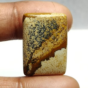 Puede incluir: Un cabujón rectangular de piedra con un patrón de color marrón claro, beige y negro. La piedra tiene un aspecto moteado y veteado con una variedad de marcas marrones y negras.