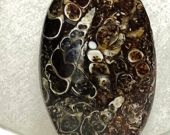 Splendid Turtella Jasper Cabochon Loose Gemstone Designer Turtella Jasper Cabochon For Multi Jewelry Making Gemstone