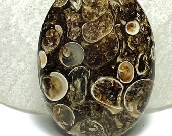 Splendid Turtella Jasper Cabochon Loose Gemstone Designer Turtella Jasper Cabochon For Multi Jewelry Making Gemstone