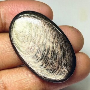 Pierres précieuses hypersthène de qualité supérieure, cabochons hypersthène, pierre naturelle hypersthène non sertie, hypersthène semi-précieux. 38x24x4mm 54ct.
