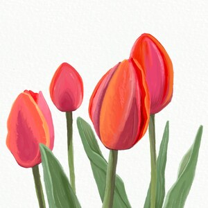Tulip Watercolor Digital