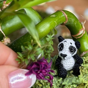 Puede incluir: Un pequeño panda de crochet sentado en un jardín en miniatura con plantas verdes y flores moradas.