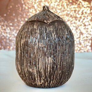 Peut inclure: Un pot en céramique brun avec un couvercle, ressemblant à une noix de coco. Le pot a une surface texturée et une forme légèrement arrondie.